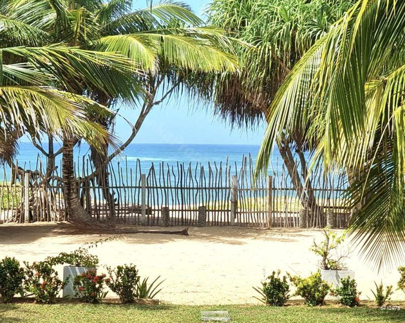 5712978_1729770273_6105