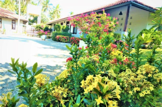 3 Bedroom villa for sale in Ranna for Rs.160 million