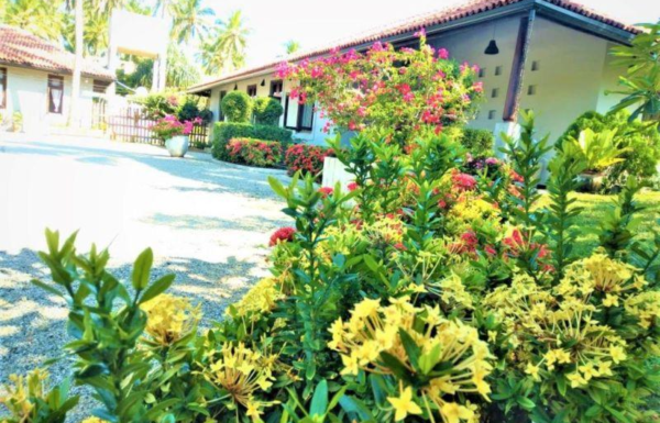 5712978_1742645558_0477