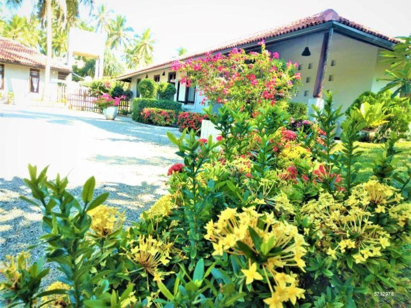 5712978_1742645558_0477